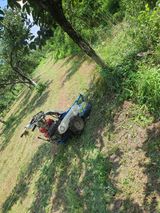 팜모닝 자유주제·자유게시판 게시글 이미지