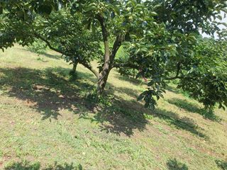 반시님의 자유주제 · 자유게시판 작성글 사진