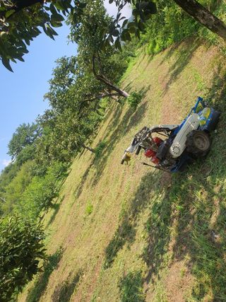 반시님의 자유주제 · 자유게시판 작성글 사진