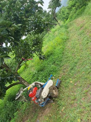 반시님의 자유주제 · 자유게시판 작성글 사진