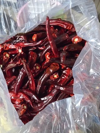 박춘명님의 자유주제 · 자유게시판 작성글 사진