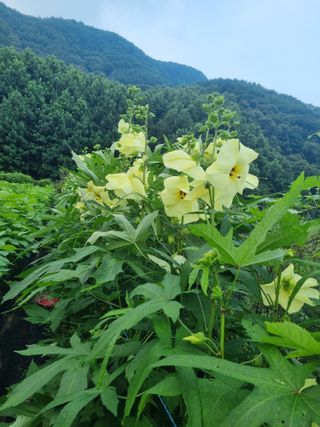 슈퍼맨님의 자유주제 · 자유게시판 작성글 사진