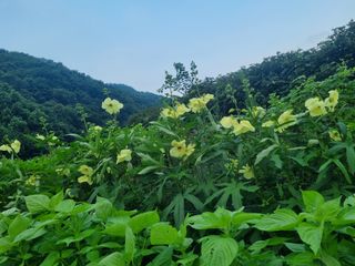 슈퍼맨님의 자유주제 · 자유게시판 작성글 사진