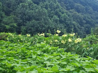 슈퍼맨님의 자유주제 · 자유게시판 작성글 사진