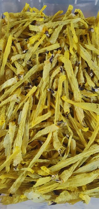 슈퍼맨님의 자유주제 · 자유게시판 작성글 사진