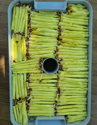 슈퍼맨님의 자유주제 · 사진전 작성글 사진