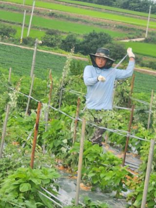 수정엄마입니다!님의 기타작물 · 영농일지 작성글 사진