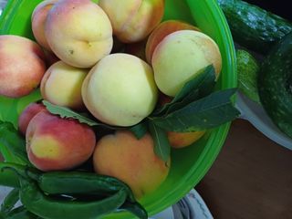 수정엄마입니다!님의 기타작물 · 영농일지 작성글 사진