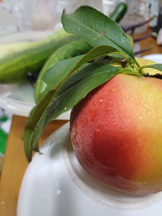 수정엄마입니다!님의 기타작물 · 영농일지 작성글 사진