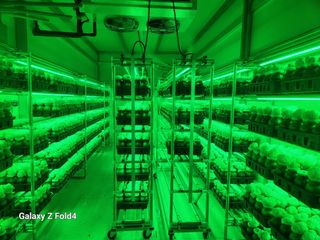 이훈정(시몬)님의 자유주제 · 자유게시판 작성글 사진