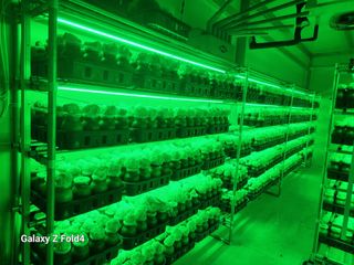 이훈정(시몬)님의 자유주제 · 자유게시판 작성글 사진