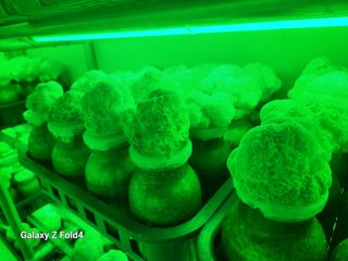 이훈정(시몬)님의 자유주제 · 자유게시판 작성글 사진