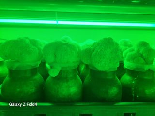 이훈정(시몬)님의 자유주제 · 자유게시판 작성글 사진