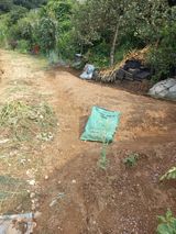 팜모닝 기타작물·영농일지 게시글 이미지