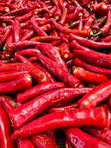 팜모닝 자유주제·자유게시판 게시글 이미지