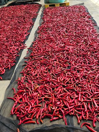 김덕조님의 자유주제 · 자유게시판 작성글 사진