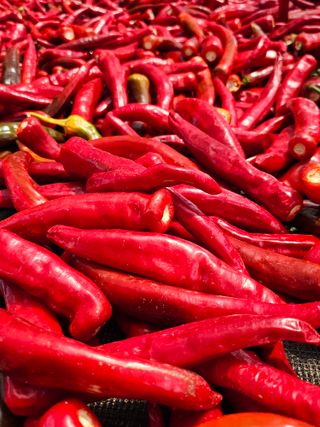 김덕조님의 자유주제 · 자유게시판 작성글 사진