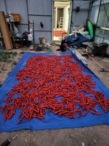 팜모닝 자유주제·자유게시판 게시글 이미지