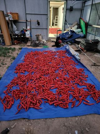 이동희님의 자유주제 · 자유게시판 작성글 사진