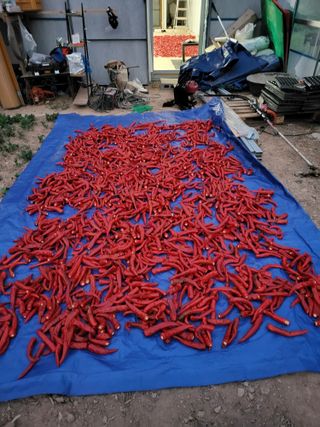 이동희님의 자유주제 · 자유게시판 작성글 사진