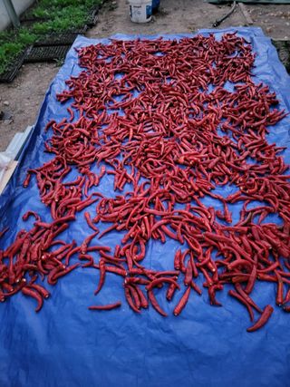 이동희님의 자유주제 · 자유게시판 작성글 사진