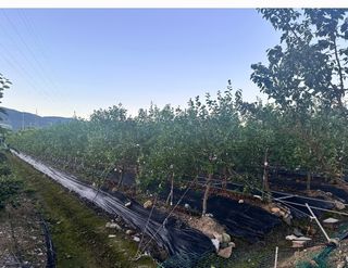 김광열님의 기타작물 · 영농일지 작성글 사진