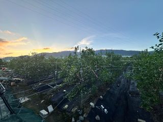 김광열님의 기타작물 · 영농일지 작성글 사진