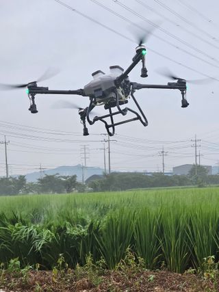 용포물레방아님의 자유주제 · 자유게시판 작성글 사진