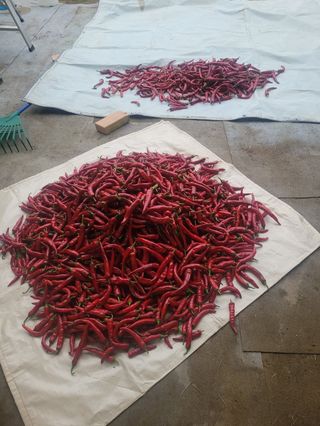 찬균park님의 자유주제 · 자유게시판 작성글 사진