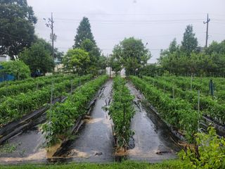 찬균park님의 자유주제 · 자유게시판 작성글 사진