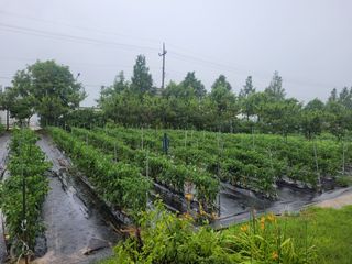 찬균park님의 자유주제 · 자유게시판 작성글 사진