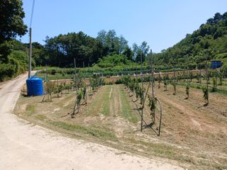 이승훈님의 기타작물 · 영농일지 작성글 사진