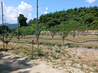 이승훈님의 기타작물 · 영농일지 작성글 사진