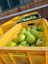 팜모닝 사과·영농일지 게시글 이미지