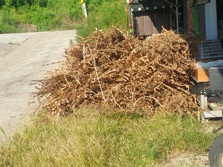 허굴산농장님의 자유주제 · 자유게시판 작성글 사진