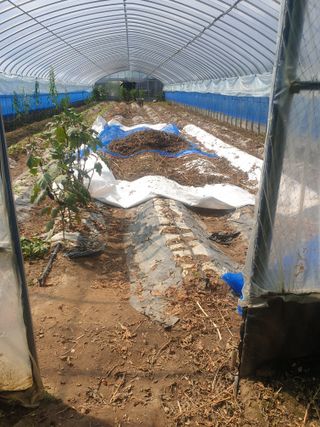 허굴산농장님의 자유주제 · 자유게시판 작성글 사진