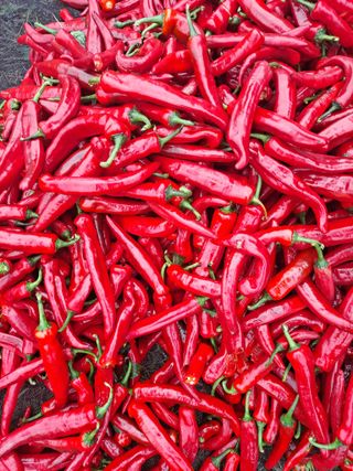 김종환님의 자유주제 · 자유게시판 작성글 사진