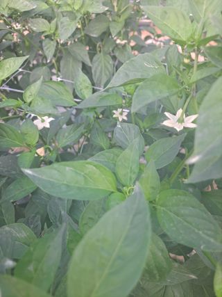 김종환님의 자유주제 · 자유게시판 작성글 사진