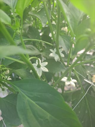 김종환님의 자유주제 · 자유게시판 작성글 사진