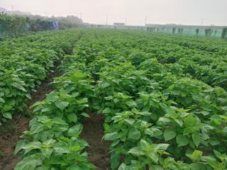 정완규님의 자유주제 · 자유게시판 작성글 사진