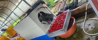 장기수님의 고추 · 영농일지 작성글 사진