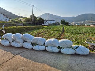 돌산갓스타님의 자유주제 · 자유게시판 작성글 사진