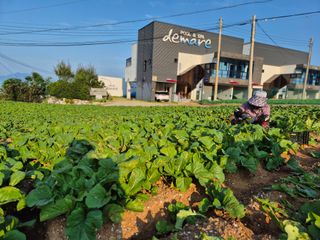 돌산갓스타님의 자유주제 · 자유게시판 작성글 사진
