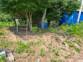 (힐링따오기쉼터)님의 기타작물 · 영농일지 작성글 사진