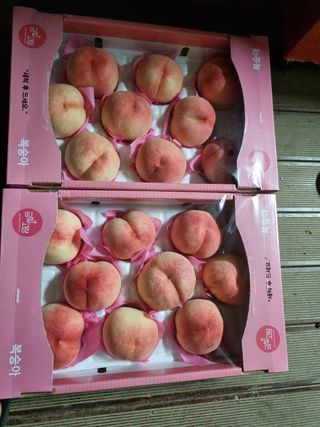 김홍숙님의 팜모닝 · 출석 작성글 사진