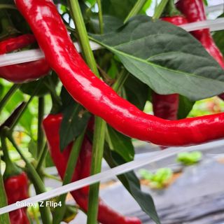 맹태임님의 자유주제 · 자유게시판 작성글 사진