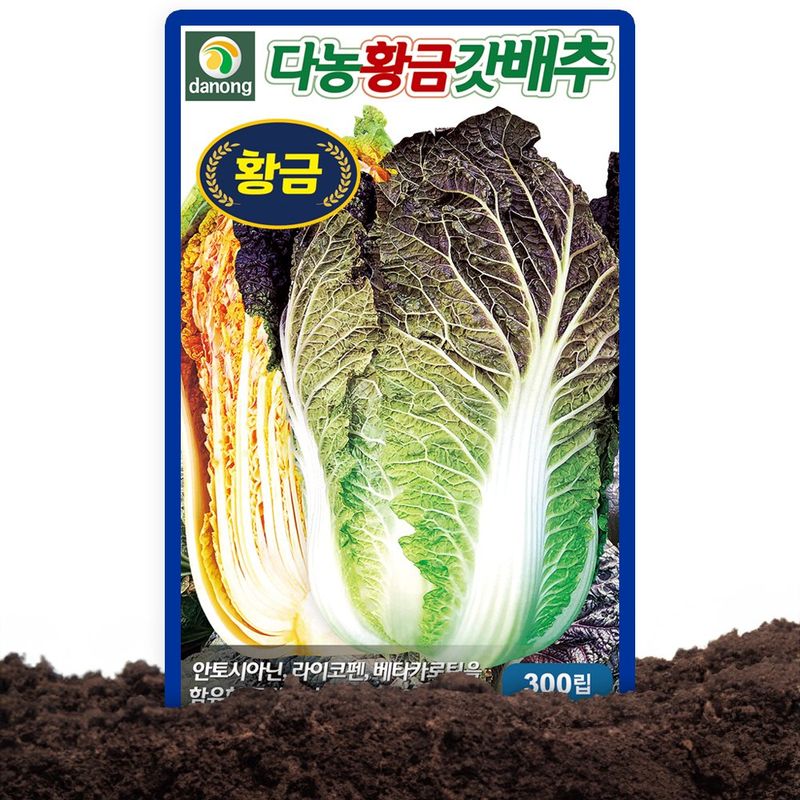 장터 상품 [안토시아닌 가을김장배추씨 종자 김장배추 다농 황금갓배추 씨앗 300립] 썸네일