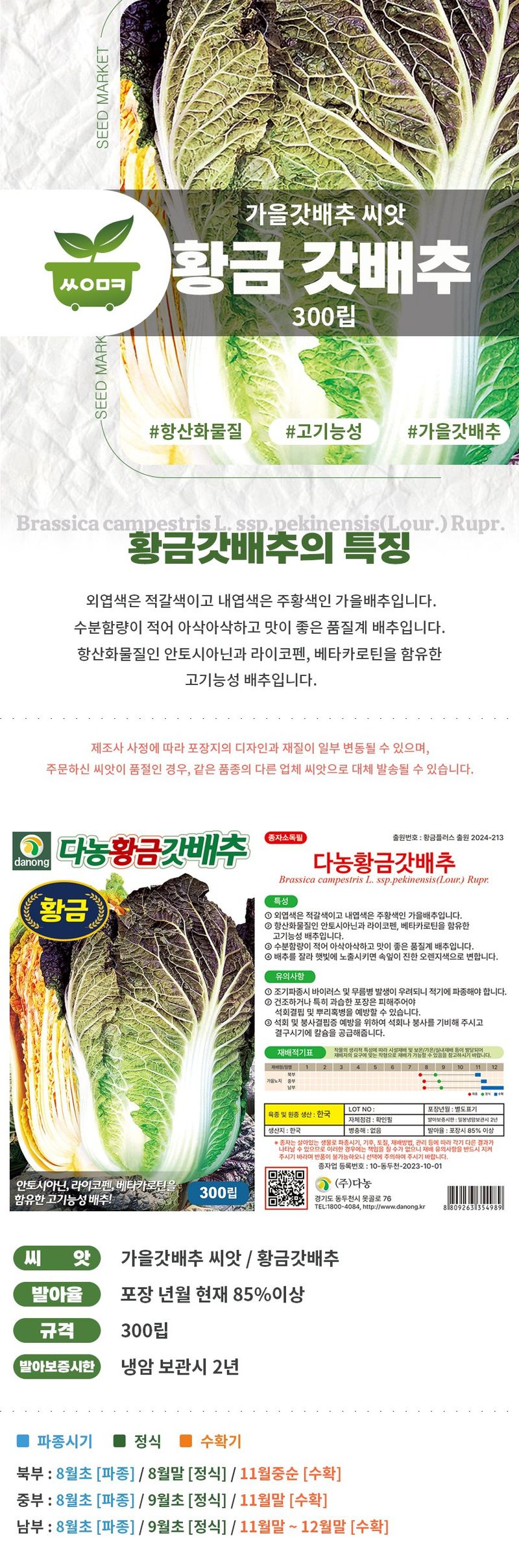 산들마켓,씨앗마켓님의 장터 판매 상품 [안토시아닌 가을김장배추씨 종자 김장배추 다농 황금갓배추 씨앗 300립] 첨부 사진