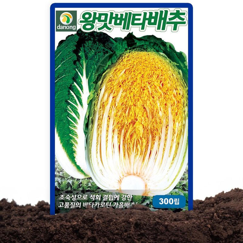 장터 상품 [베타카로틴 가을김장배추씨 종자 김장배추 다농 왕맛베타배추 씨앗 300립] 썸네일