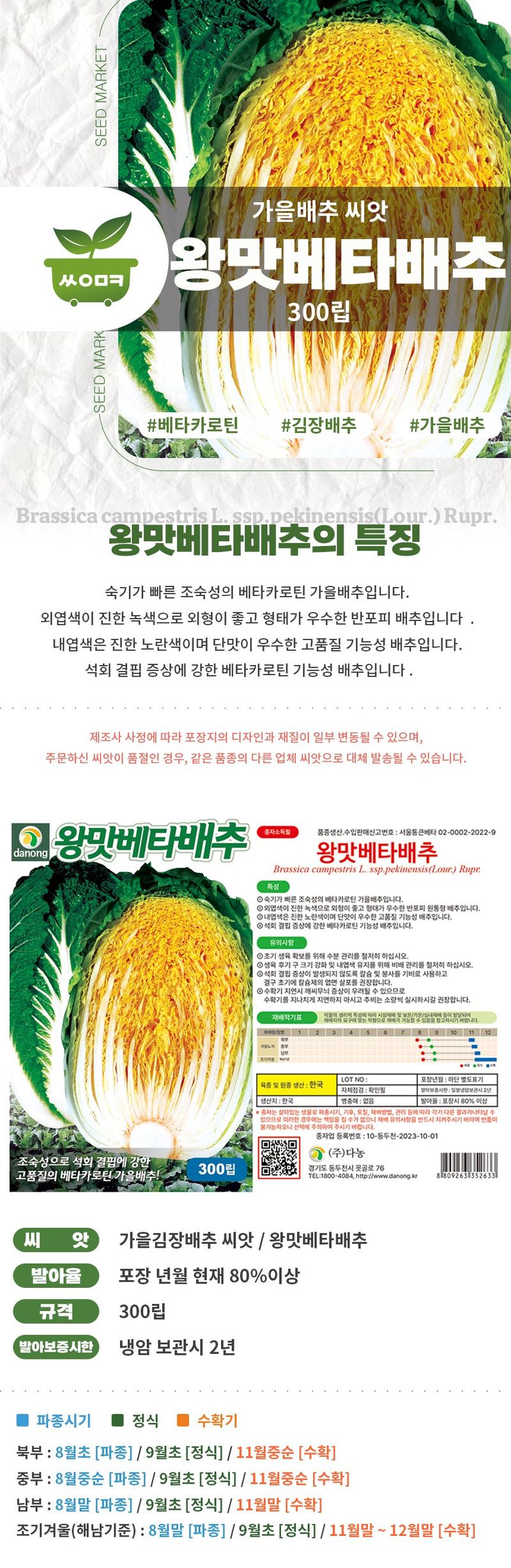 산들마켓,씨앗마켓님의 장터 판매 상품 [베타카로틴 가을김장배추씨 종자 김장배추 다농 왕맛베타배추 씨앗 300립] 첨부 사진